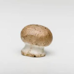 Prebiotics