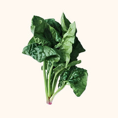 Vitamins & minerals